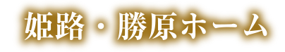 定期巡回・随時対応型訪問介護看護